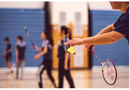 Pickleball vs. Badminton: A Comprehensive Comparison